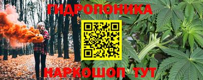 сатива Волгодонск