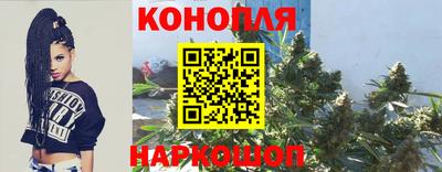 сатива Волгодонск