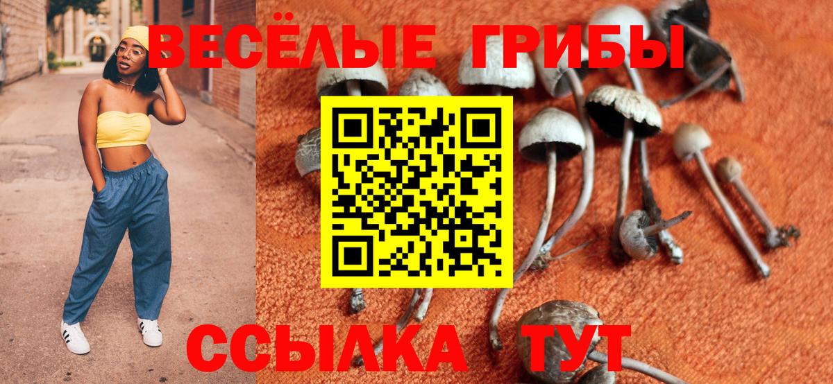 Псилоцибиновые грибы Psilocybe Балахна